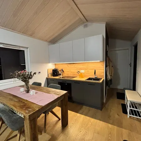 Apartment Wiesenblick&sauna&wlan Haus 1